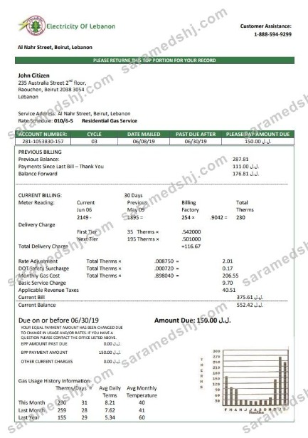 Lebanon Electricity of Lebanon utility bill template in Word and PDF format